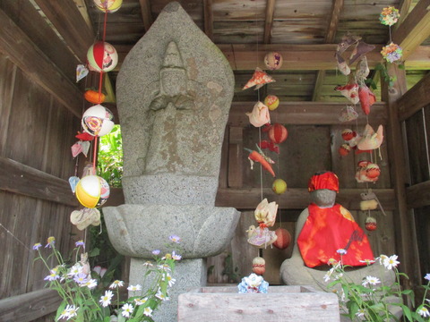 111槐木4