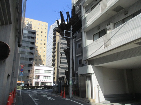 90天満宮1