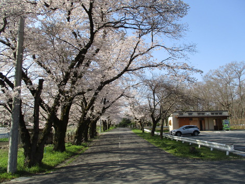 62蓬莱島公園5