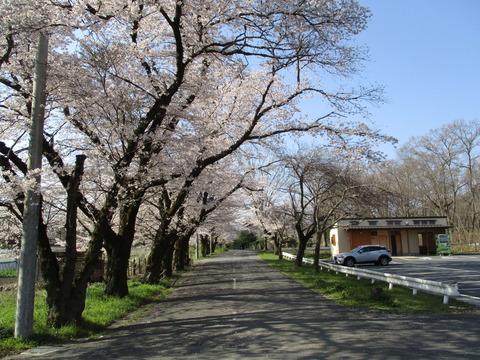 62蓬莱島公園５