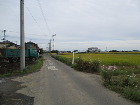 280不思議田1