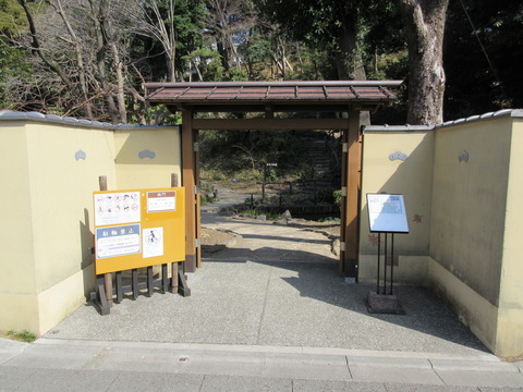 41庭園12
