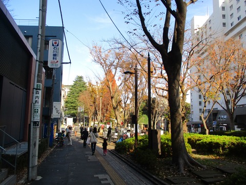 36筑波大へ