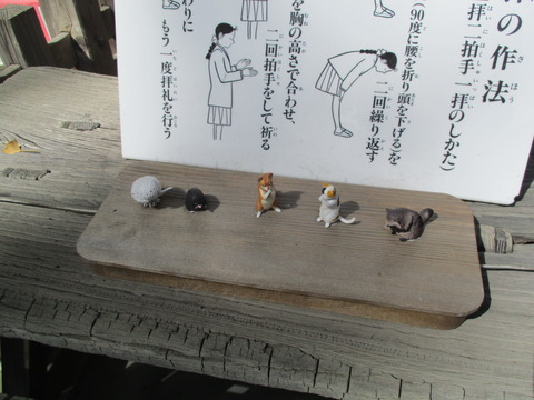 147拝殿5