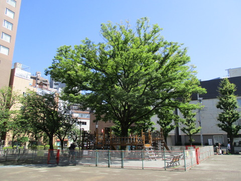 256花川戸公園ゴール