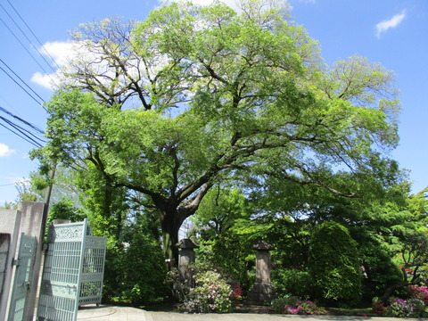 131高源院2