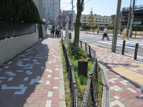 53道の間1