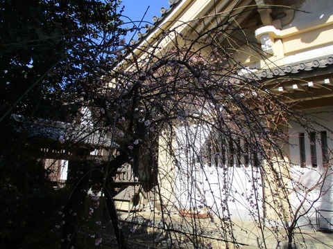 92麟祥院10