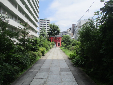 91再度表参道