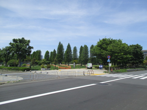 55辰巳の森海浜公園１