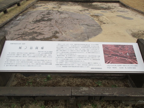 135飛ノ台貝塚2