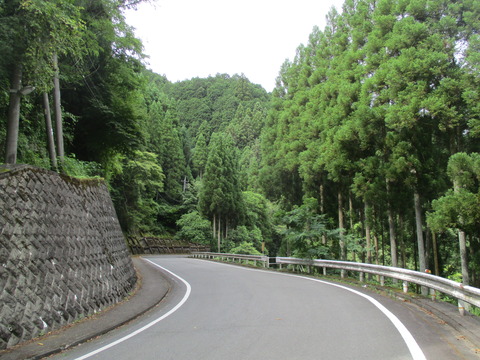 24山の中2