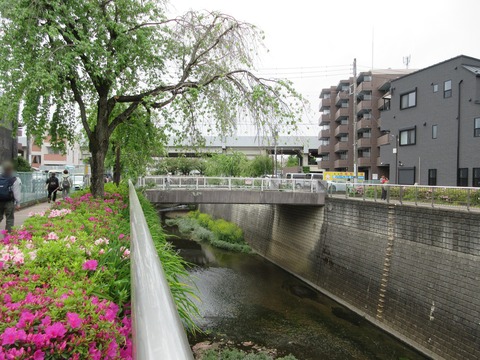 51高富士橋