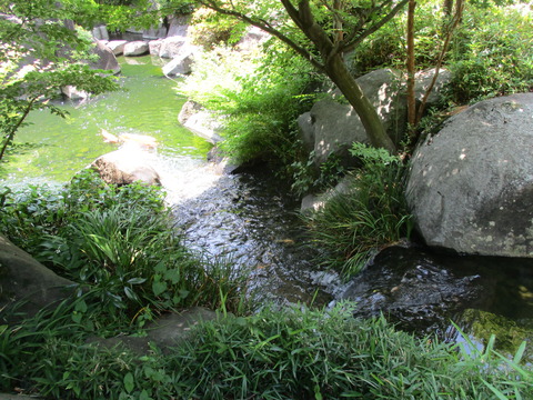 46目白庭園7