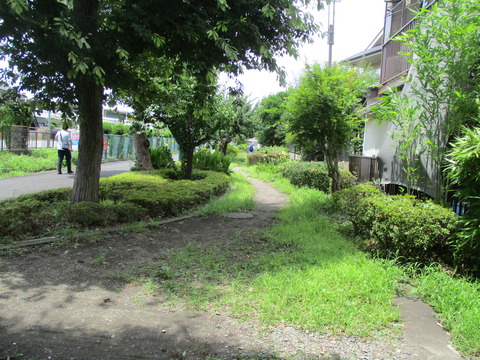 105小柳散歩道8