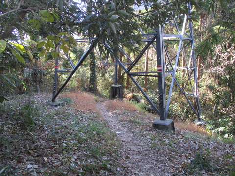 166果樹園へ18