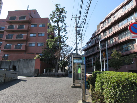 102一本松坂３