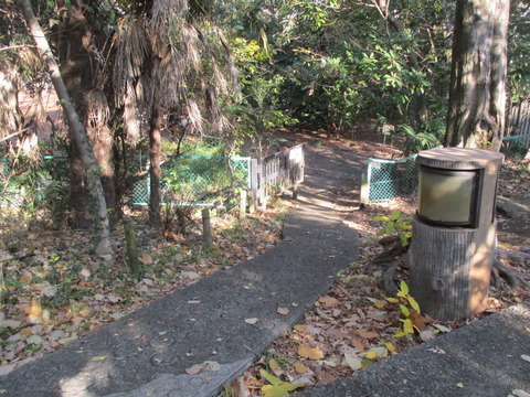 54占春園4