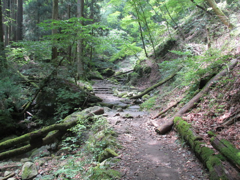 183沢渡り1