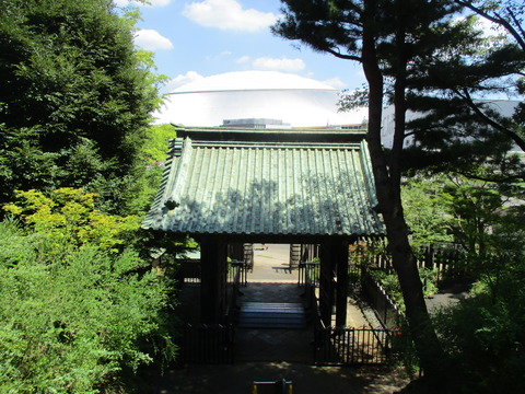206勅額門1