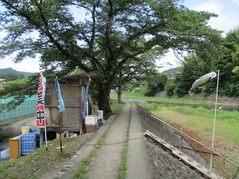 240遊歩道４