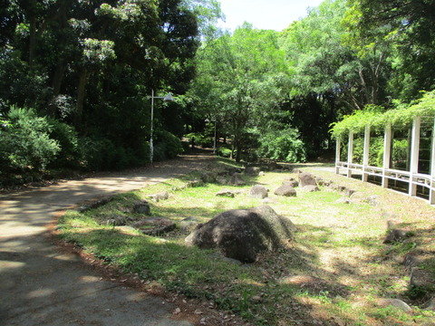 42夢の島緑道公園５