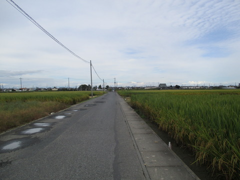 246田んぼの中の道