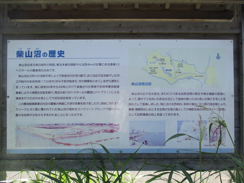 106柴山沼16