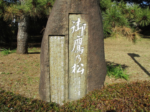 93お鷹の松2