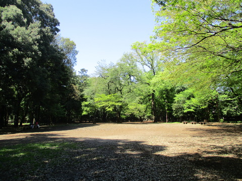 57第二公園2
