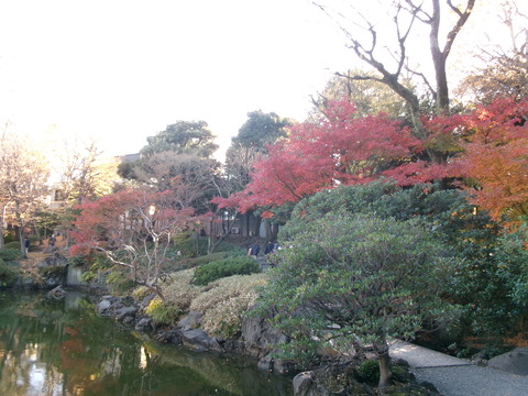 232旧安田庭園５