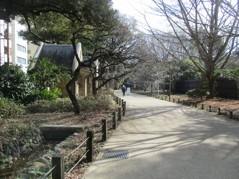 46散歩道5