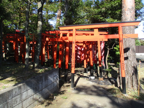 44東伏見稲荷神社１６