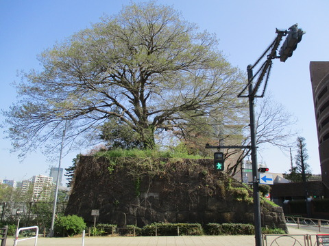 10石垣1