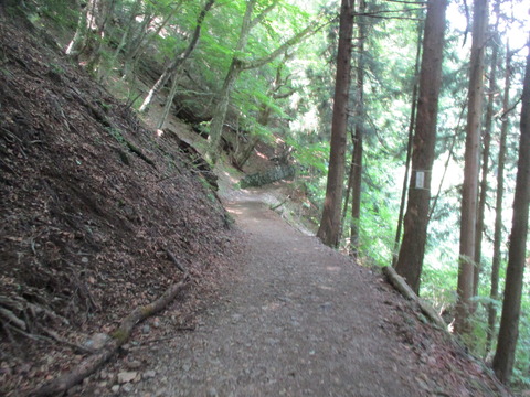 221平らな道