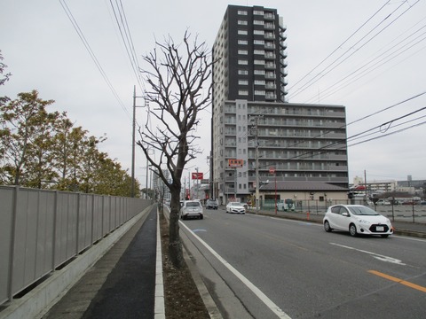 119市場通り