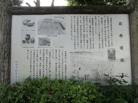 60-1城山公園3