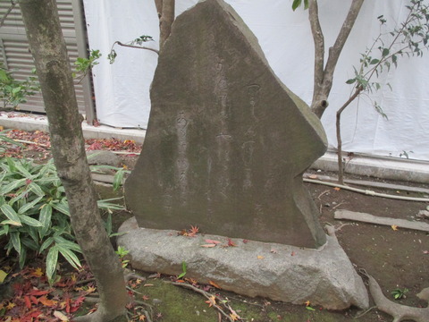 151傳通院31