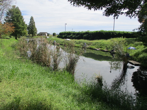 77騎西総合公園13