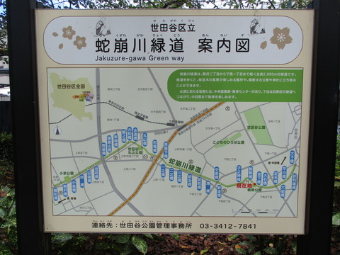 91再び緑道