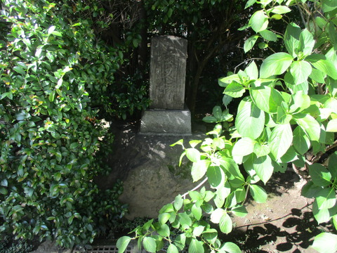 228教学院9