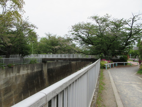 60振り返って長光寺歩道橋