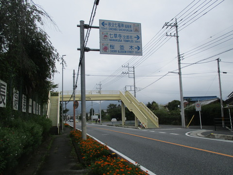 41歩道橋1