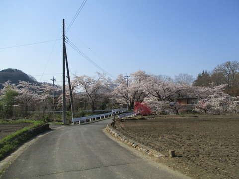 58蓬莱島公園１