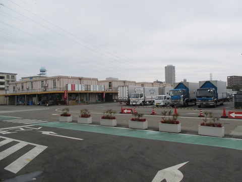 117市場4