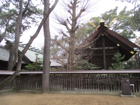 89船橋大神宮本殿