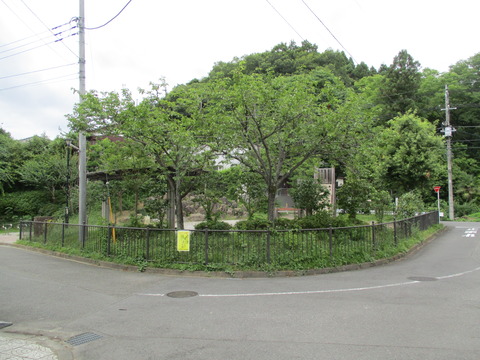 116東山公園1