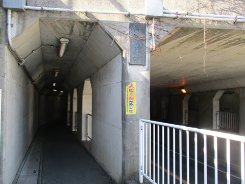 11野牛トンネル3