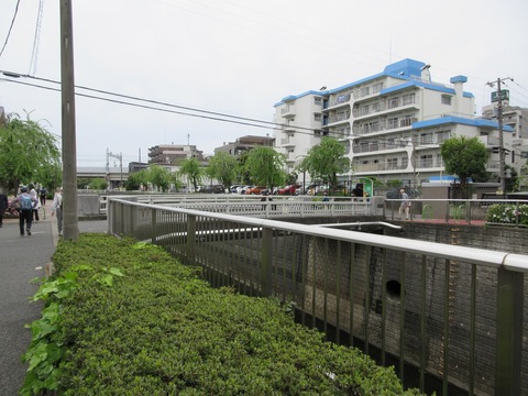 50富士見橋