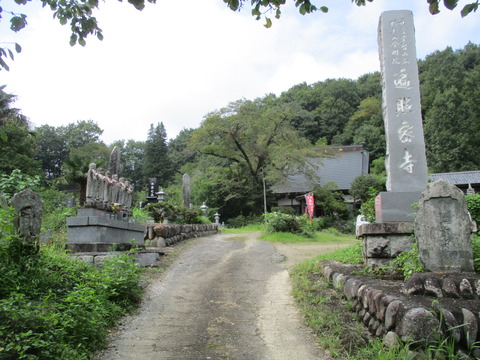 197遍照寺1